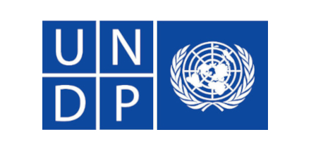 undp1